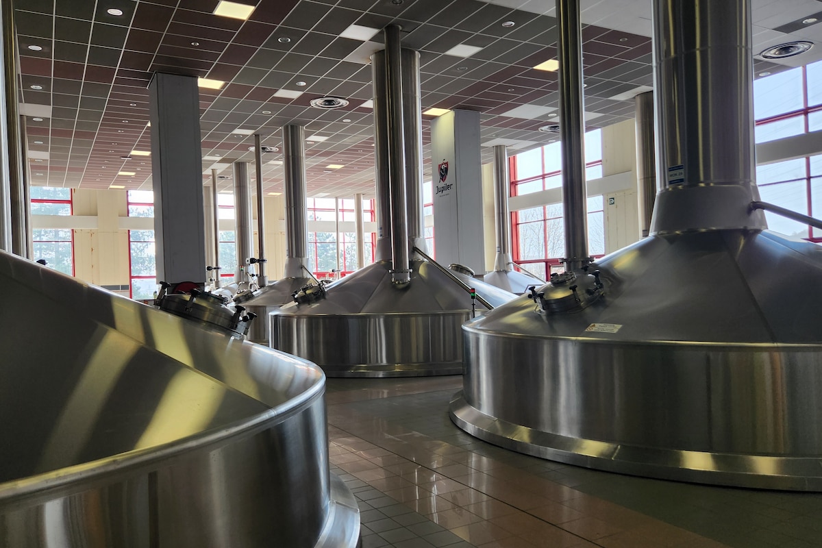 Les cuves qui produisent la bière à Jupille.