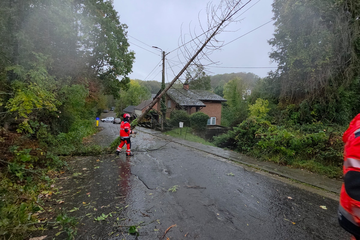 Chute d'arbre due à la tempête Austen à Charleroi.