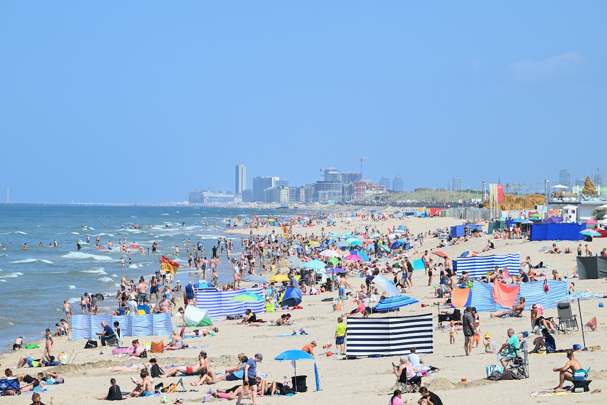 Flemish coast in Belgium | Cote Flamande en Belgique 05/08/2024