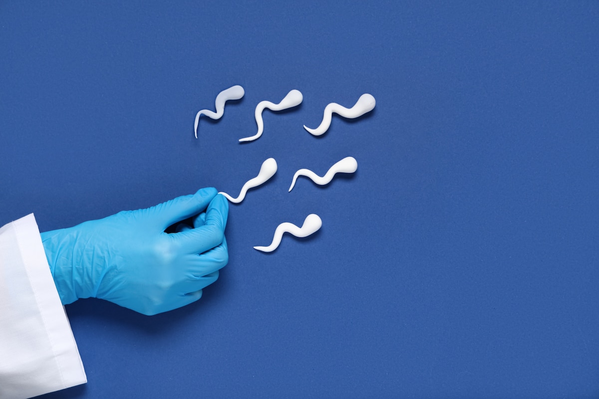 Le “Spermaxxing”, ou quand les hommes deviennent obsédés par la qualité de leur sperme