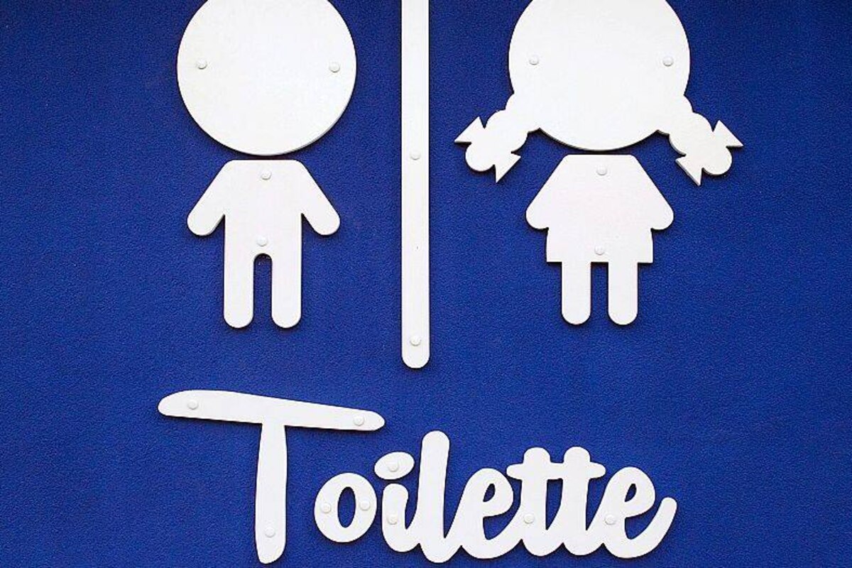 Les toilettes neutres, pour "les enfants qui se posent des questions sur leur genre", débarquent dans une école