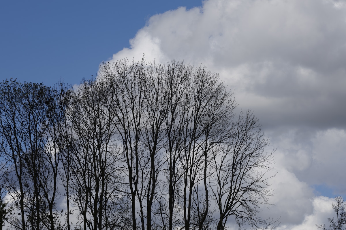 Illustration picture shows clouds in a blue sky pictured in Lierde on Sunday 19 April 2026. BELGA PHOTO NICOLAS MAETERLINCK